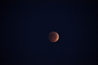 Blood Red Moon  Sukkot 2014 Buffalo,NY 11/1/2014