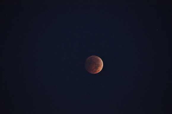 Blood Red Moon  Sukkot 2014 Buffalo,NY 11/1/2014
