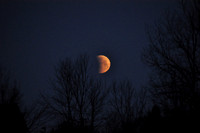 Bood Red Moon Sukkot 2014 Buffalo, NY