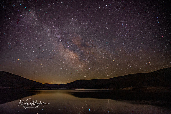 Allegany State Park, NY. Right after Covid started. Quaker Lake Spring 2021