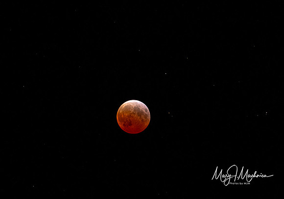 March 14, 2025 Hamburg, NY. Blood Red Moon