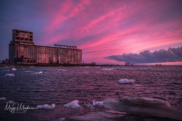 Outer Harbor