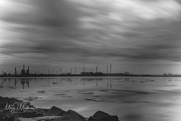 Outer Harbor