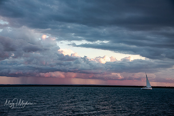 Outer Harbor