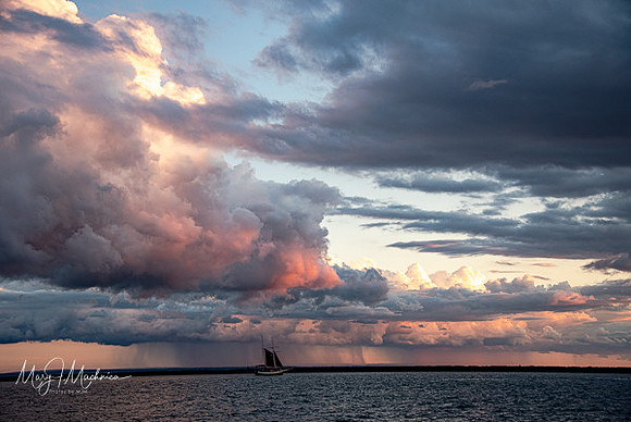 Outer Harbor
