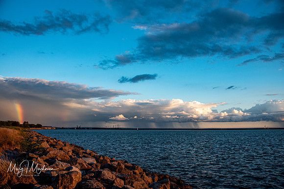 Outer Harbor