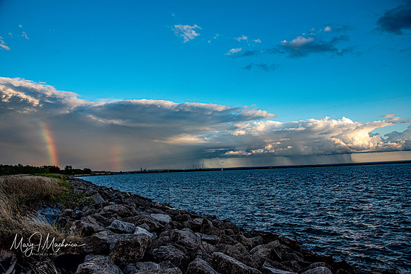 Outer Harbor